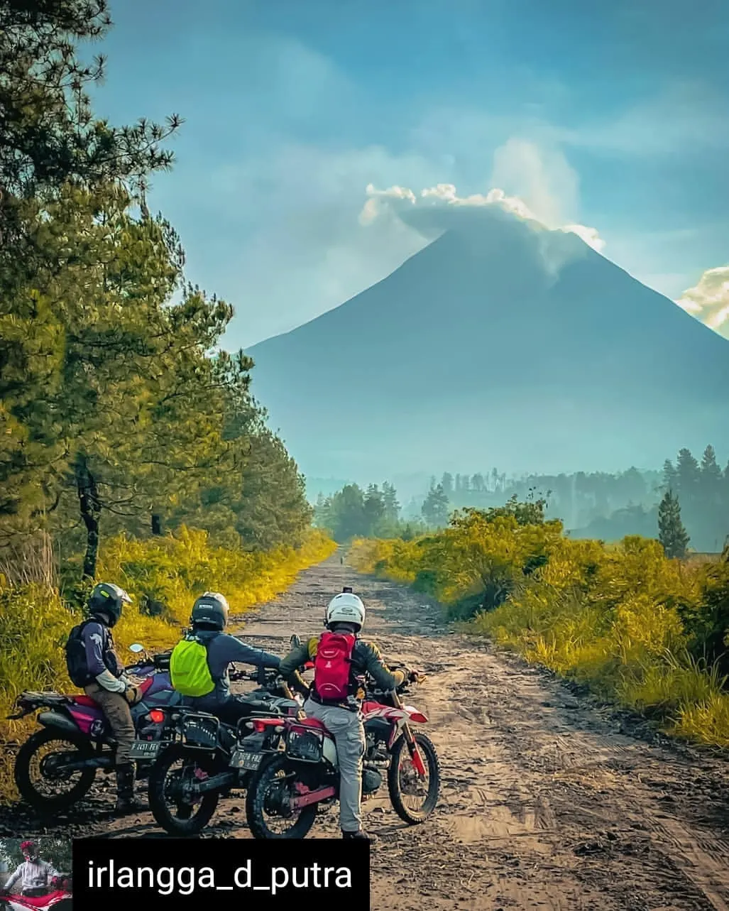 irlangga_d_putra