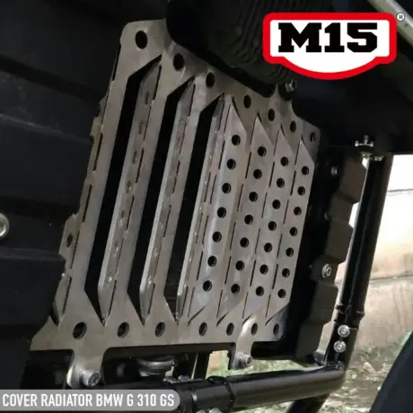 Radiator Cover BMW G 310 GS (17-19)